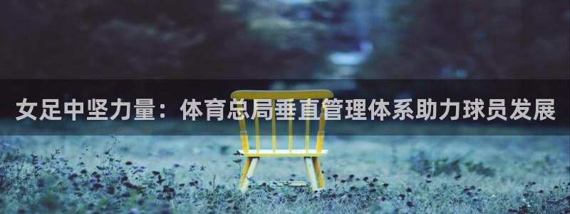 必一体育下载app：