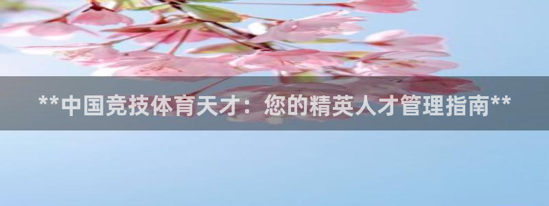 必一体育运动平台官网