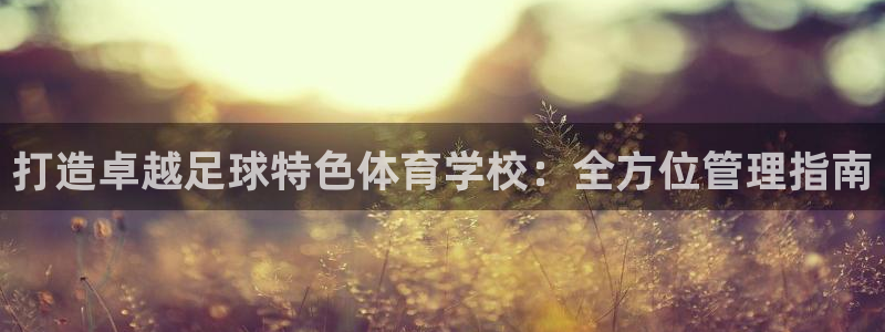 必一体育下载义：打造