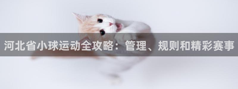 必一运动体育app：