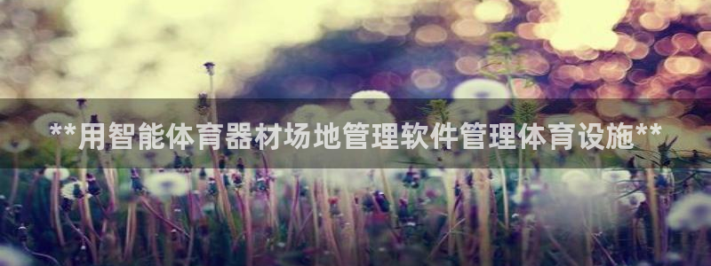 必一体育能提现大金额