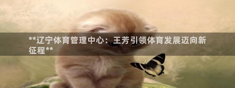 必一体育在线官网：*