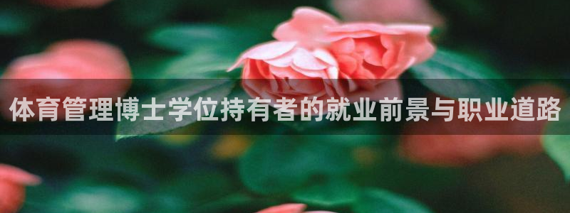 必一体育旧版：体育管