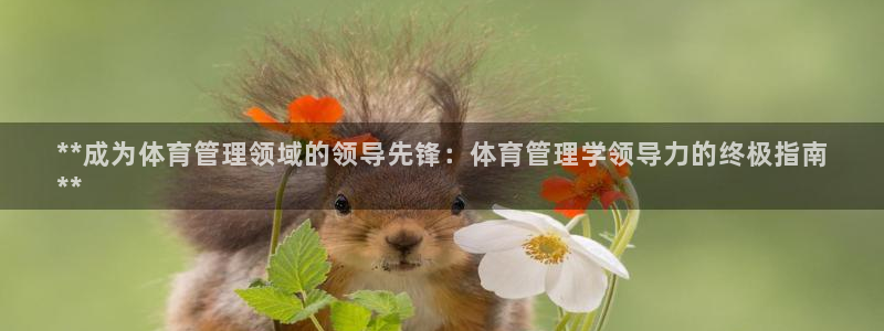 必一体育没了：**成