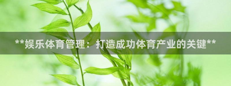 必一体育官方下载：*