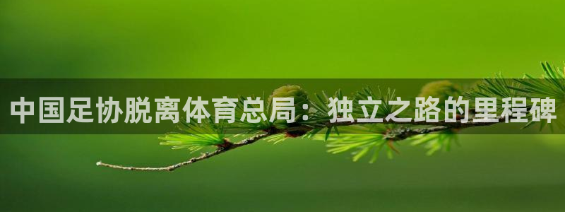 必一体育下载：中国足