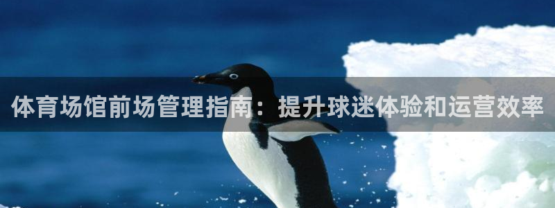 必一体育在线下载：体