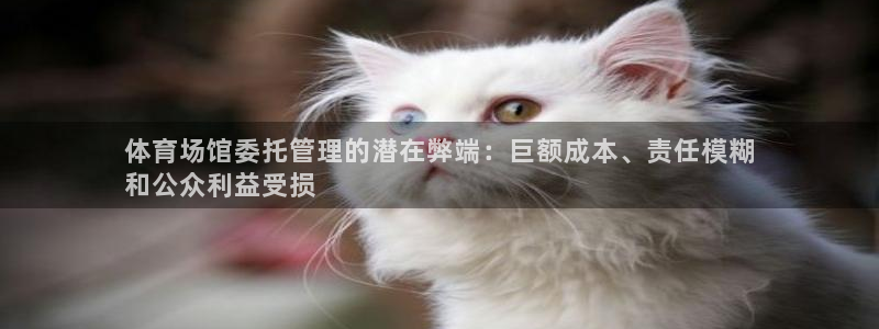 必一体育网页：体育场