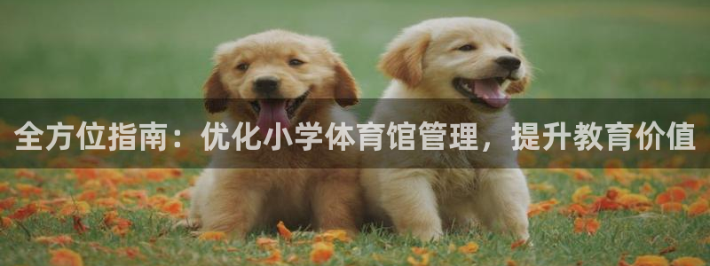 必一体育全站在线登录