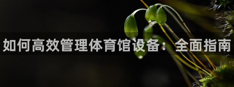 必一体育验证码：如何