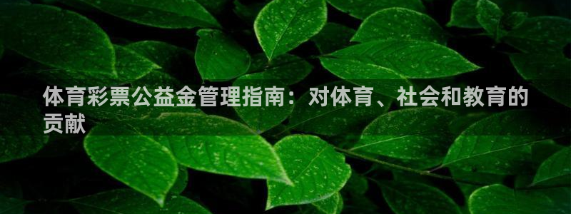 必一运动·体育：体育