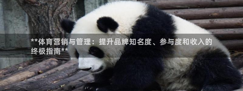 必一体育在线登陆：*