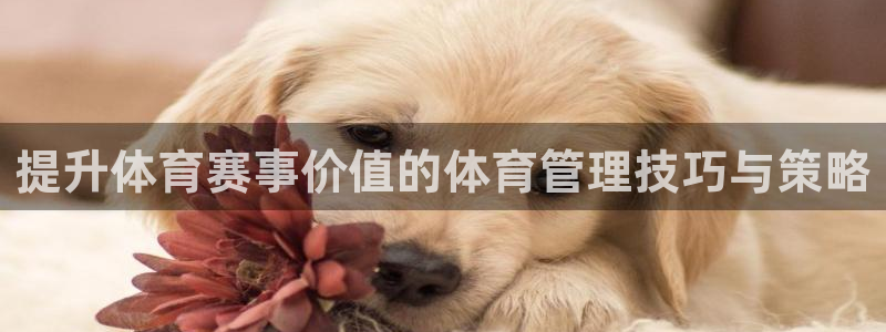 必一体育登录APP下
