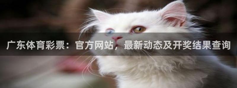 必一体育是哪里的台子