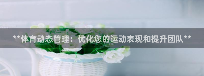 必一体育官方下载：*