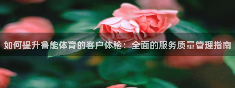 必一运动·(B-Sp