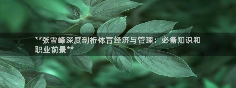必一体育电子app：