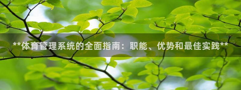 必一体育黑平台：**