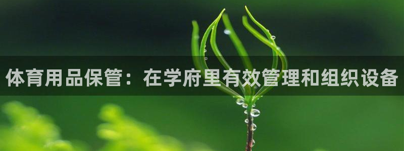 必一运动sport网