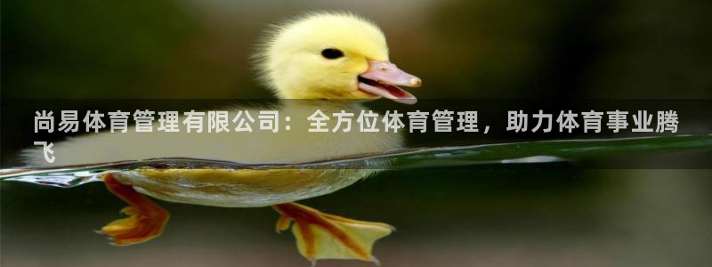 必一体育全站在线登录