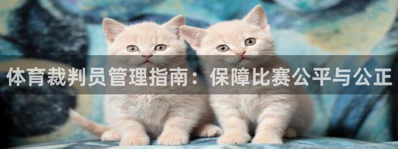 必一运动sport网