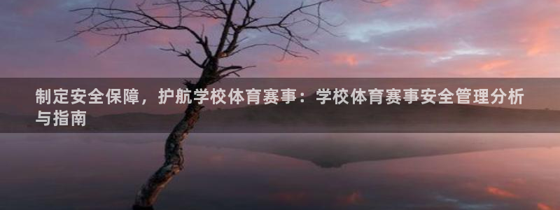 必一体育官方网站入口：制定安全保障，护航学校体育赛事：学校体