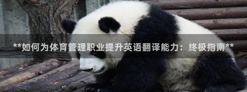 必一体育登录APP下