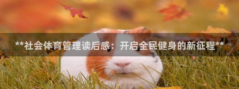 必一运动体：**社会体育管理读后感：开启全民健身的新征程**