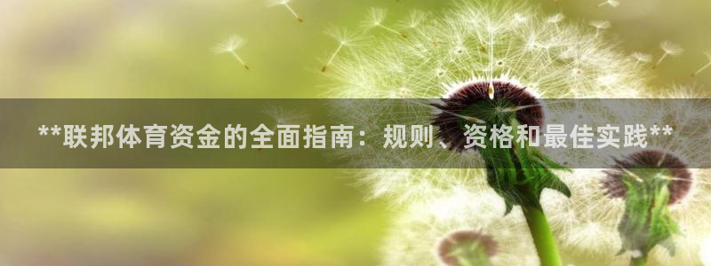 必一体育运动官网：*
