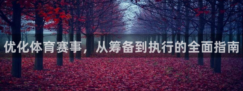 必一体育官方入口：优