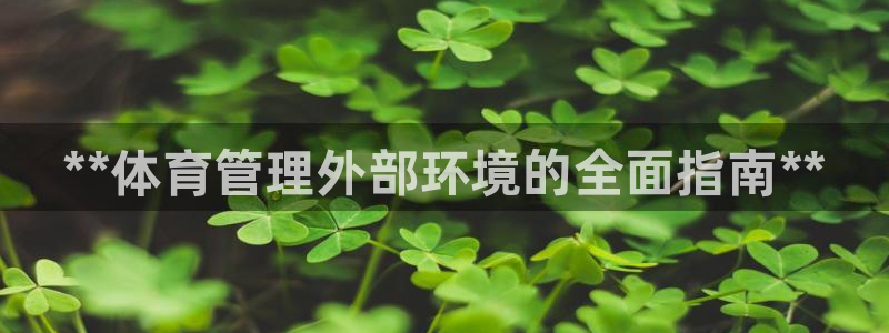 必一体育app官方下