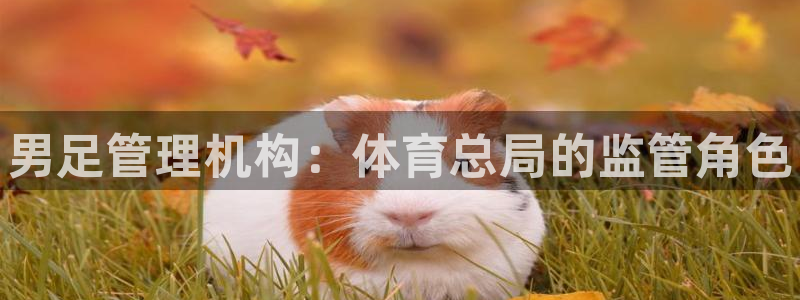 必一体育能提现大金额吗：男足管理机构：体育总局的监管角色