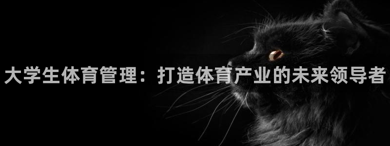 必一体育运动平台官网