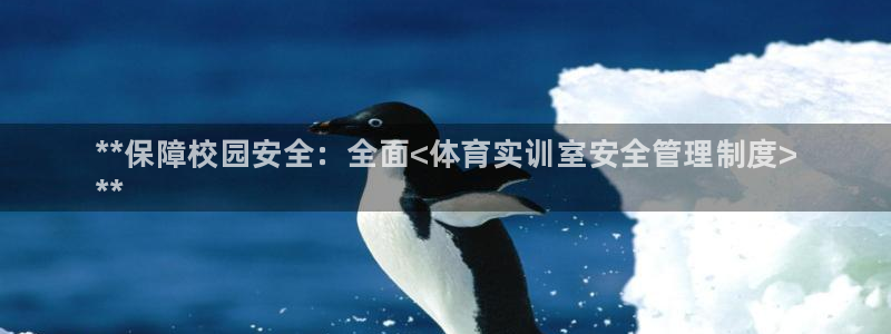 必一体育旧版：**保