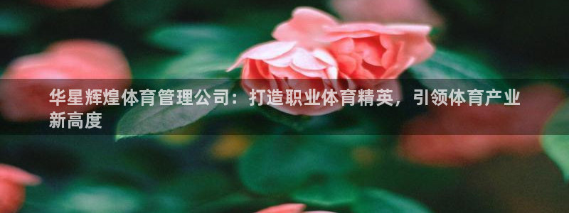 必一体育app官方正