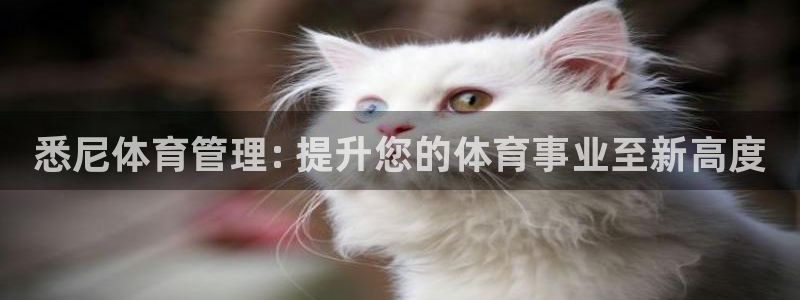 必一体育在线玩：悉尼体育管理: 提升您的体育事业至新高度