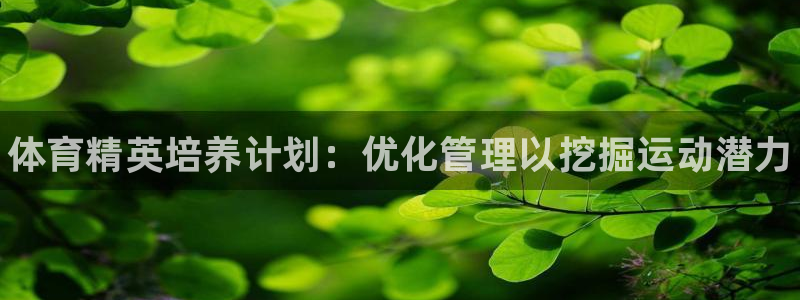 必一运动aop：体育精英培养计划：优化管理以挖掘运动潜力