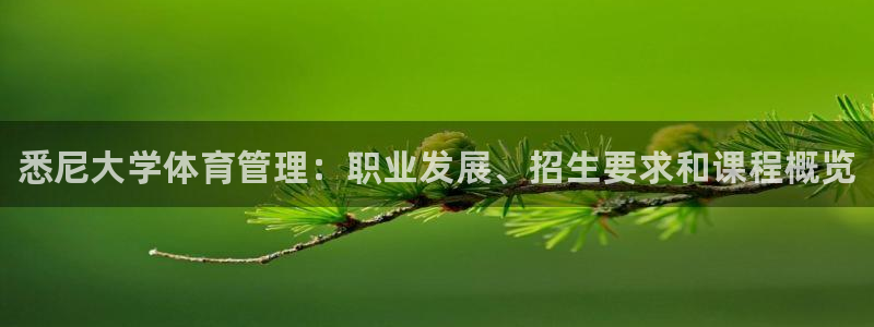 必一体育下载app下