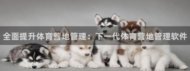 必一运动体育官网：全面提升体育营地管理：下一代体育营地管理软