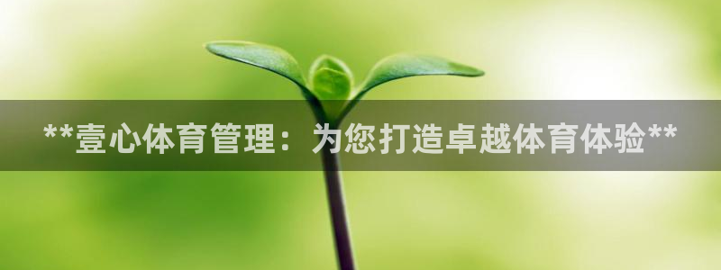 必一运动 b 体育素