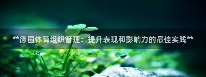 必一体育在线官网：*