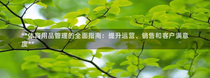 必一体育登录入口AP