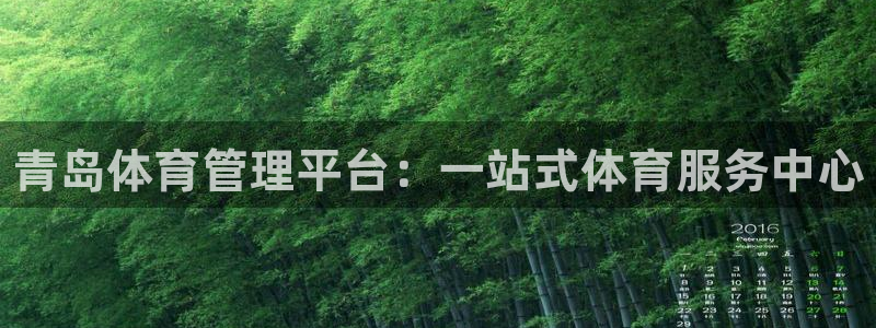 必一体育：青岛体育管