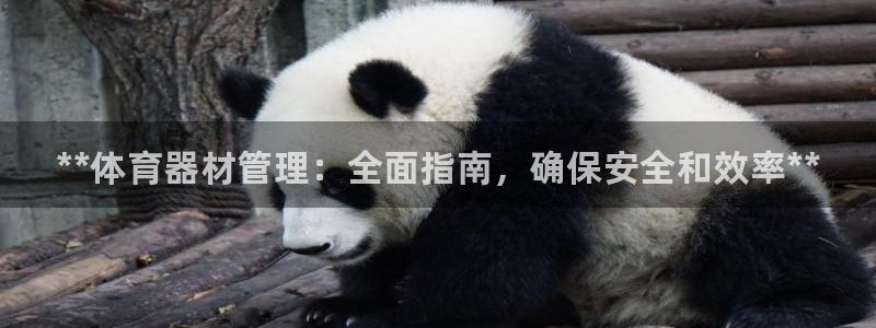 必一体育运动官网：*