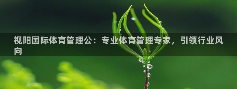 必一体育APP下载安